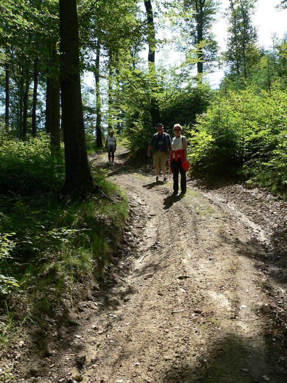 Landhaus Zum Sorpetal Hotel Schmallenberg Luaran gambar