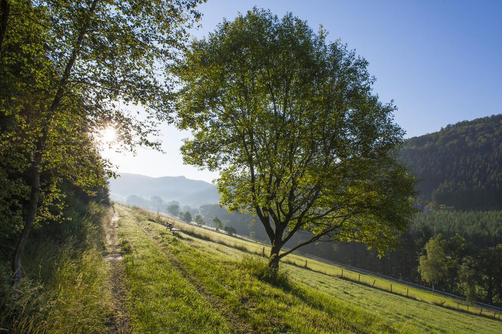Landhaus Zum Sorpetal Hotel Schmallenberg Luaran gambar