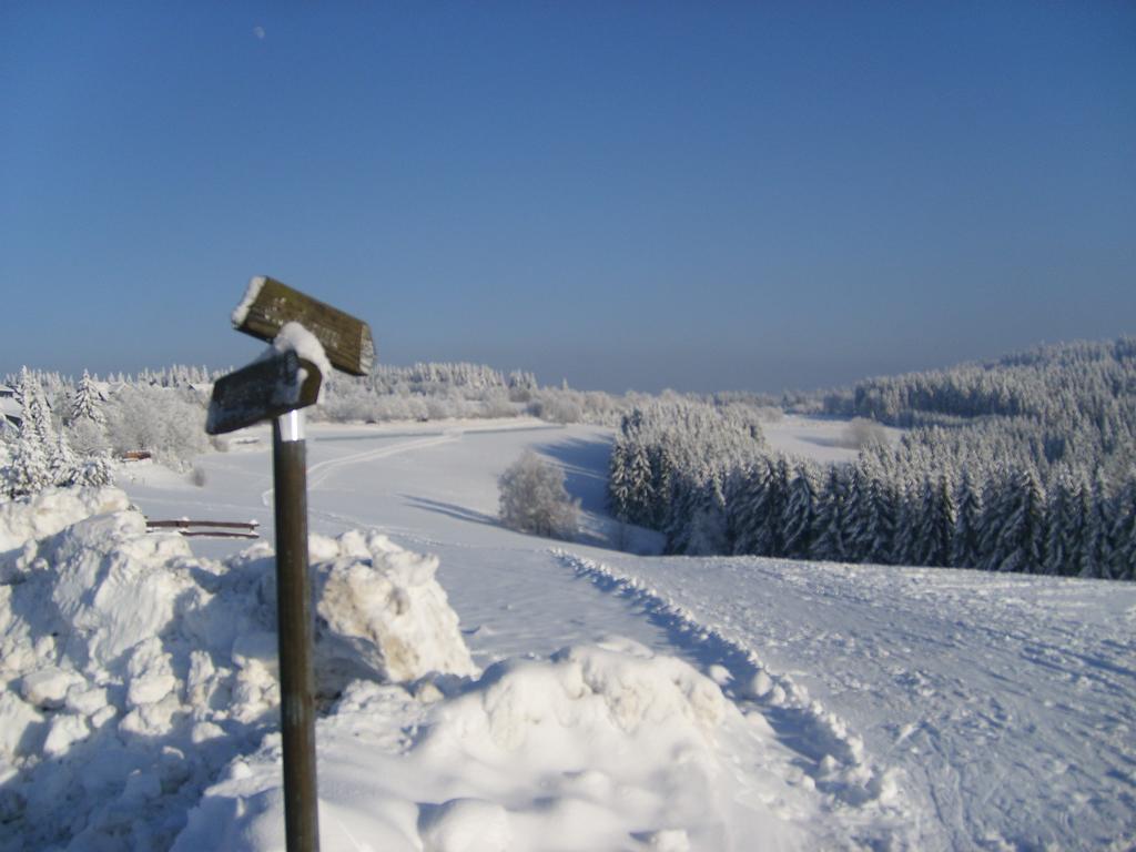 Landhaus Zum Sorpetal Hotel Schmallenberg Luaran gambar