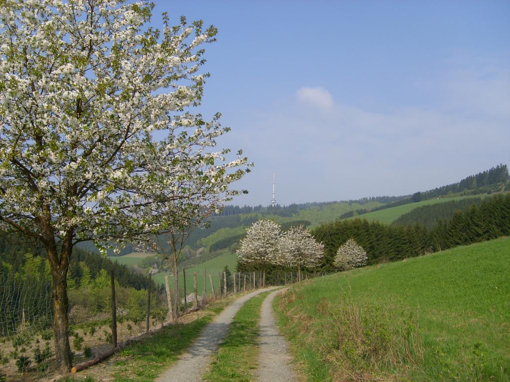 Landhaus Zum Sorpetal Hotel Schmallenberg Luaran gambar