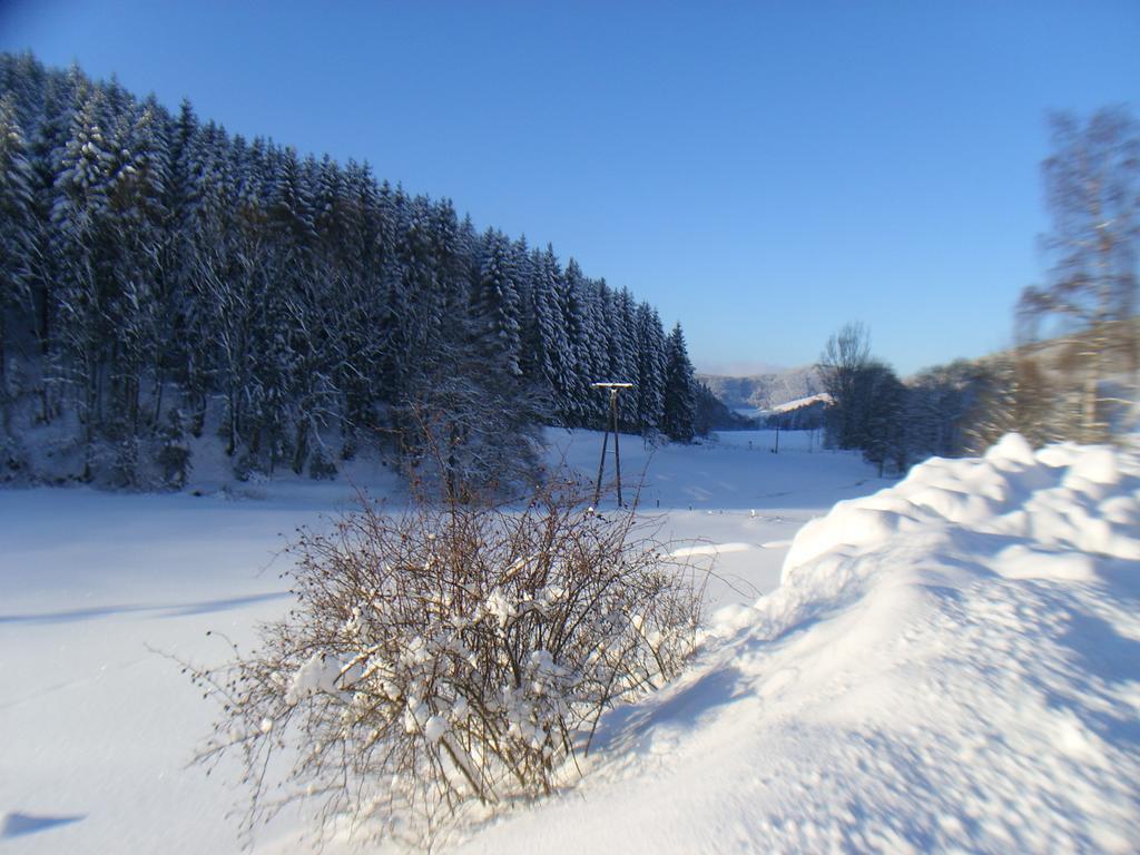 Landhaus Zum Sorpetal Hotel Schmallenberg Luaran gambar